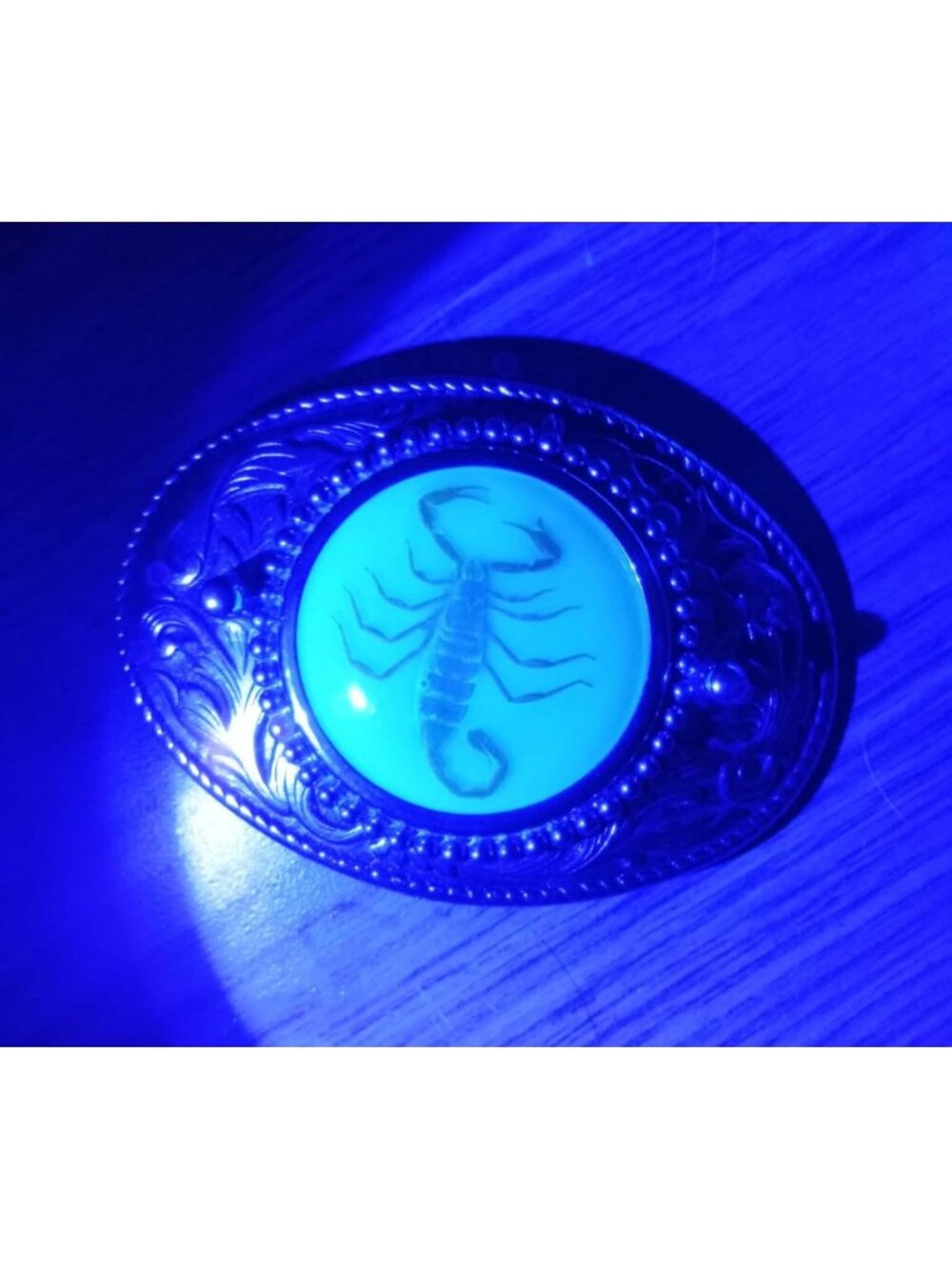 Vintage Scorpion Belt Buckle With Inlaid Resin 1970s INSECT Fashion Unisex Oddit - Picture 3 of 6